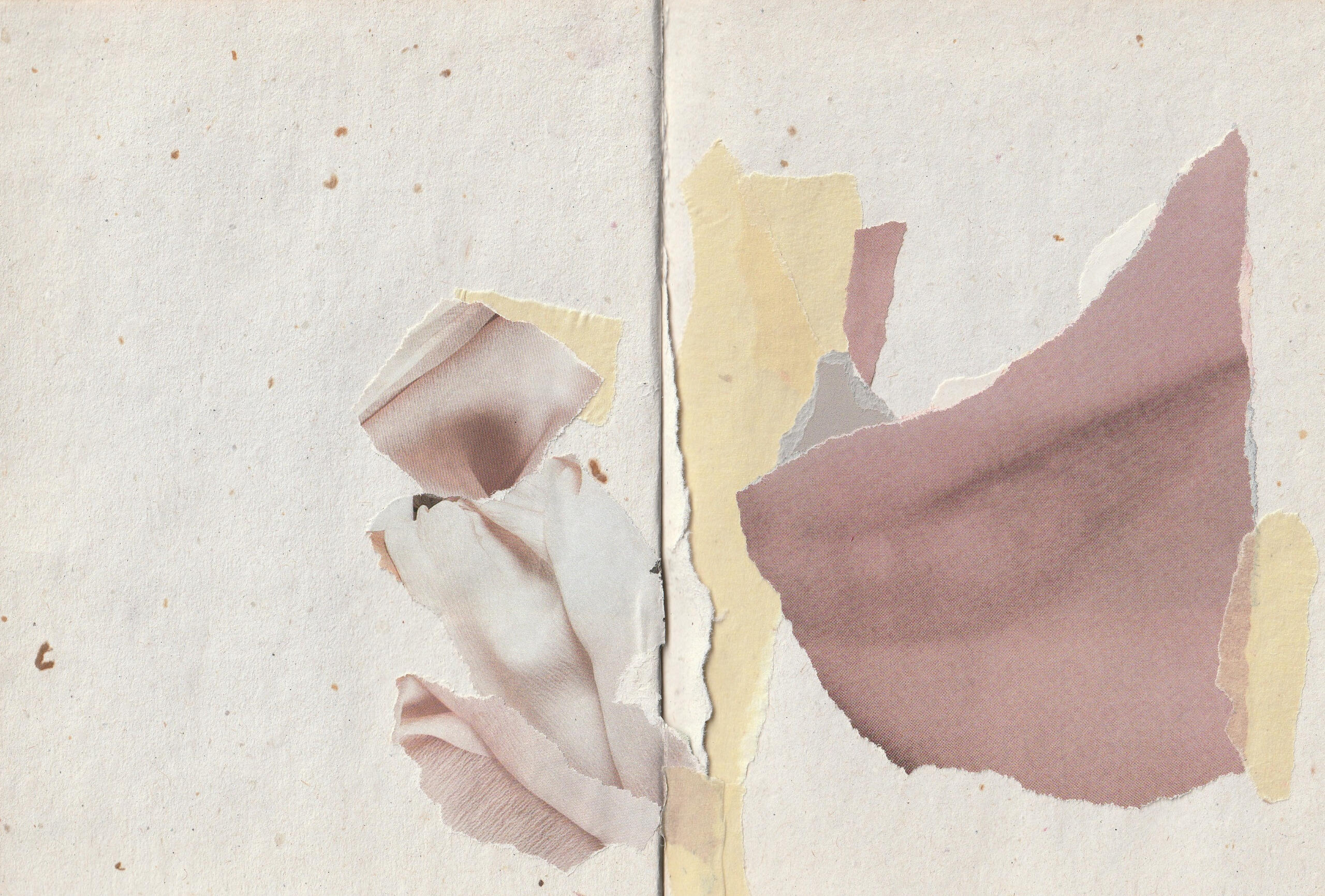 6/14 a walk along the river