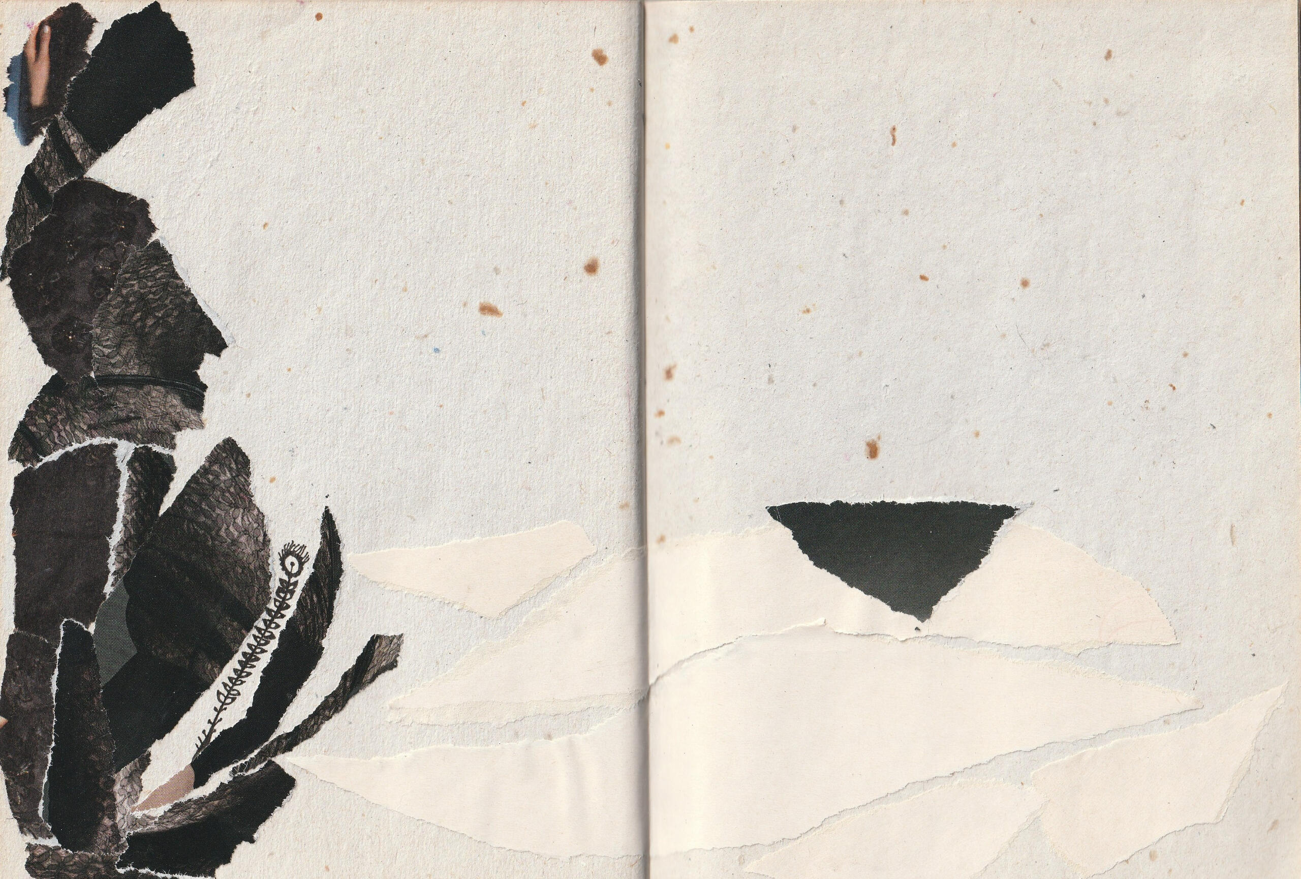 14/14 a walk along the river